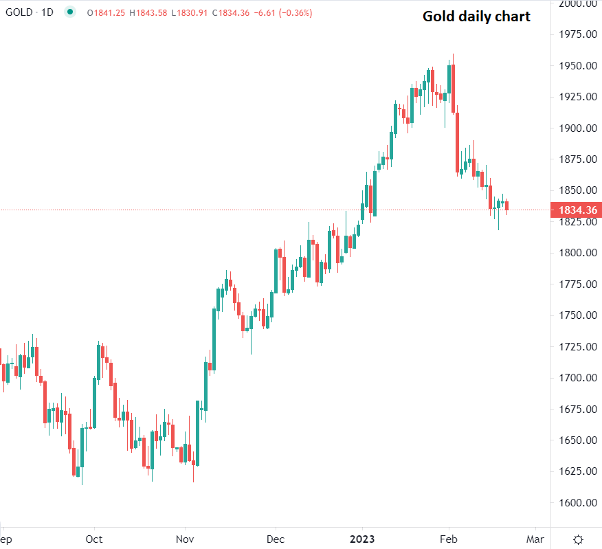 今日市場焦點速遞