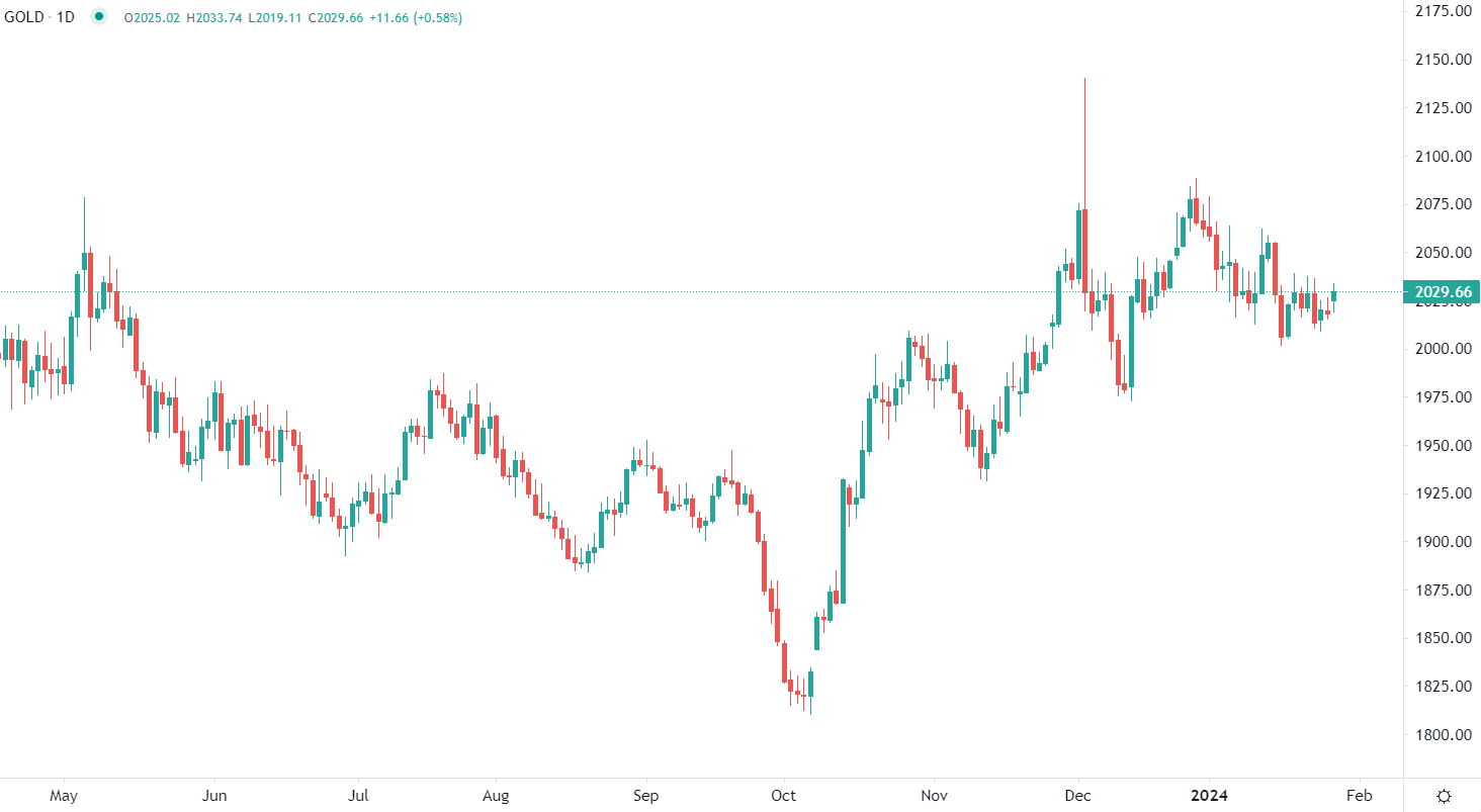 市場分析報告 - 2024年1月29日